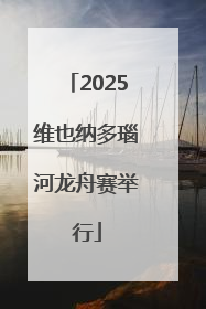 2025维也纳多瑙河龙舟赛举行