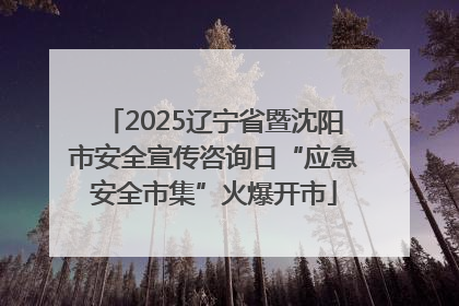 2025辽宁省暨沈阳市安全宣传咨询日“应急安全市集”火爆开市