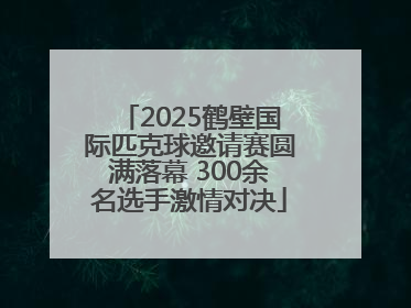 2025鹤壁国际匹克球邀请赛圆满落幕 300余名选手激情对决