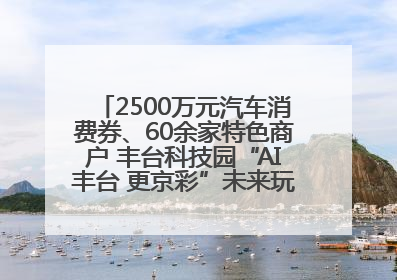 2500万元汽车消费券、60余家特色商户 丰台科技园“AI丰台 更京彩”未来玩家市集活动正式开幕