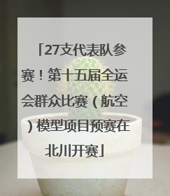 27支代表队参赛！第十五届全运会群众比赛（航空）模型项目预赛在北川开赛