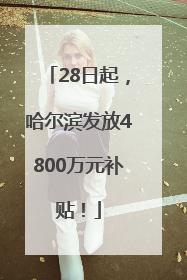 28日起，哈尔滨发放4800万元补贴！