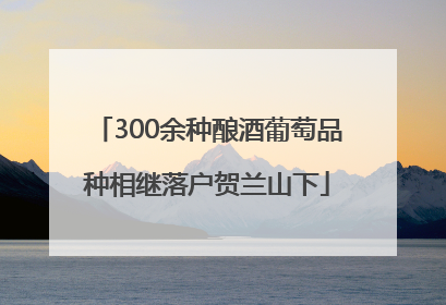300余种酿酒葡萄品种相继落户贺兰山下