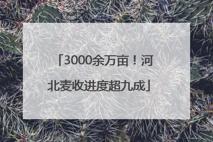 3000余万亩！河北麦收进度超九成