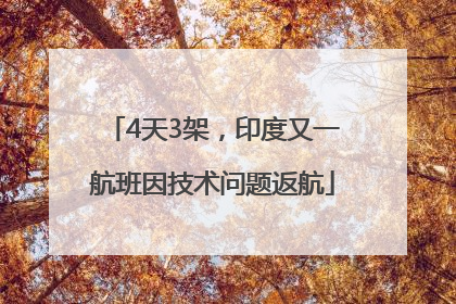 4天3架，印度又一航班因技术问题返航