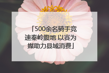 500余名骑手竞速秦岭腹地 以赛为媒助力县域消费
