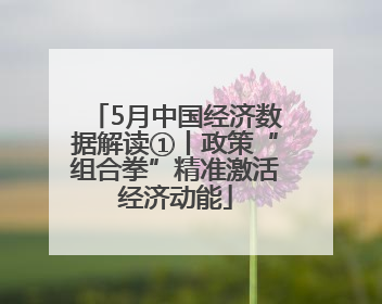 5月中国经济数据解读①丨政策“组合拳”精准激活经济动能