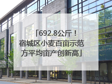 692.8公斤！宿城区小麦百亩示范方平均亩产创新高
