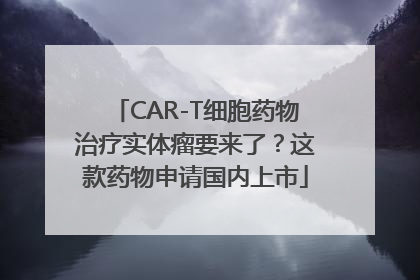 CAR-T细胞药物治疗实体瘤要来了？这款药物申请国内上市