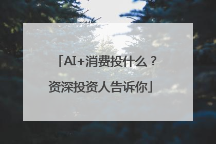 AI+消费投什么？资深投资人告诉你