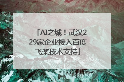 AI之城！武汉229家企业接入百度飞桨技术支持