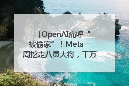OpenAI痛呼“被偷家”！Meta一周挖走八员大将，千万美元薪酬战开打