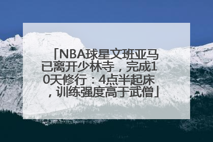NBA球星文班亚马已离开少林寺，完成10天修行：4点半起床，训练强度高于武僧