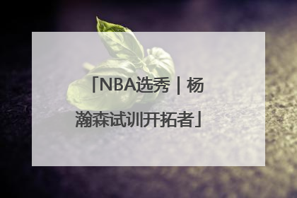 NBA选秀｜杨瀚森试训开拓者
