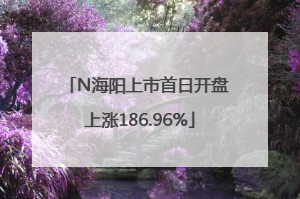 N海阳上市首日开盘上涨186.96%