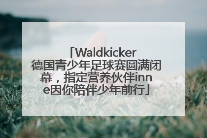 Waldkicker德国青少年足球赛圆满闭幕，指定营养伙伴inne因你陪伴少年前行
