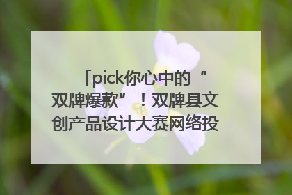 pick你心中的“双牌爆款”！双牌县文创产品设计大赛网络投票评选火热进行中